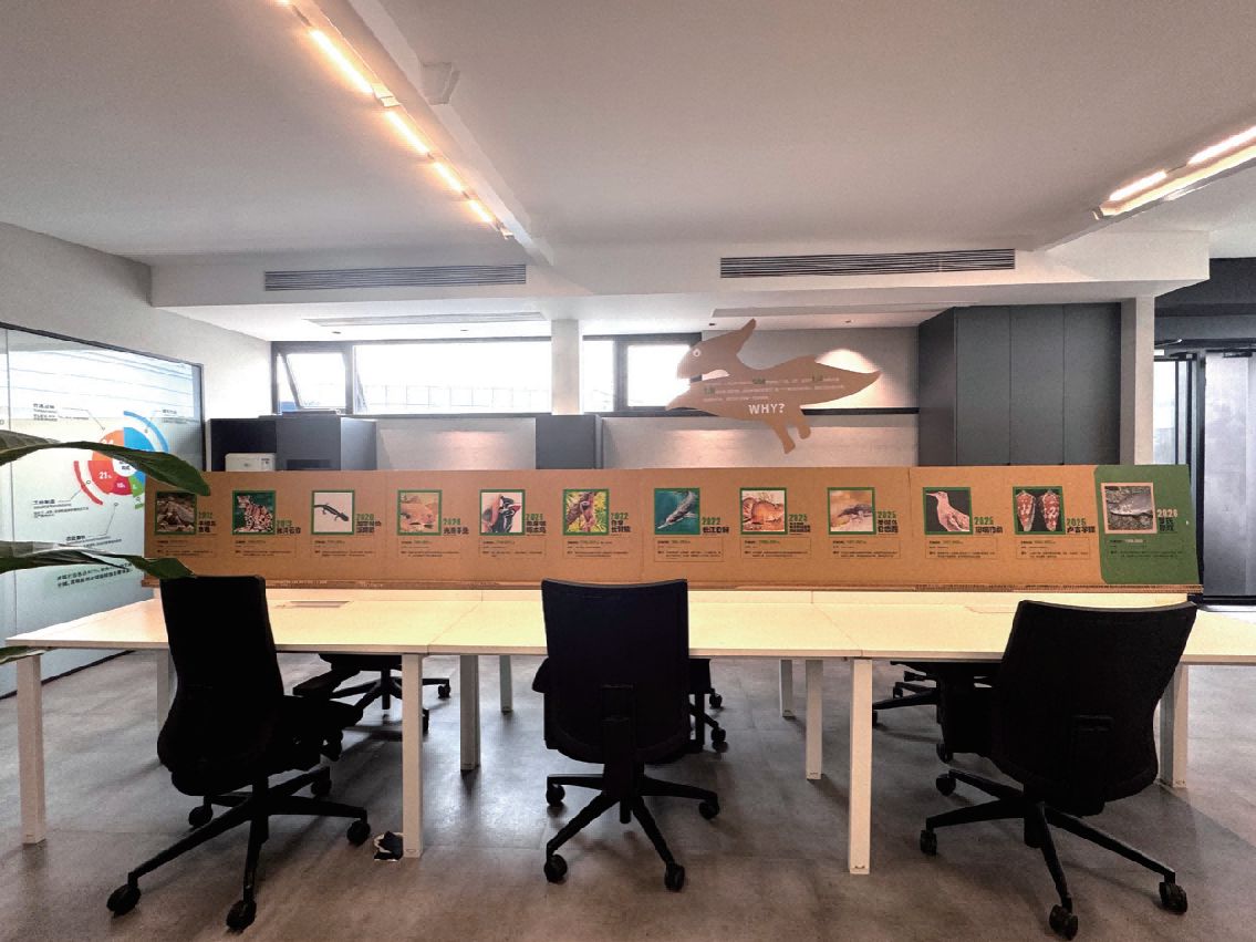 创意展览区